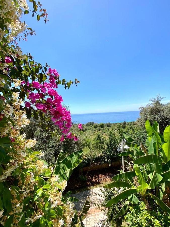 Hotel apartamentowy The Olives Terrace Residences